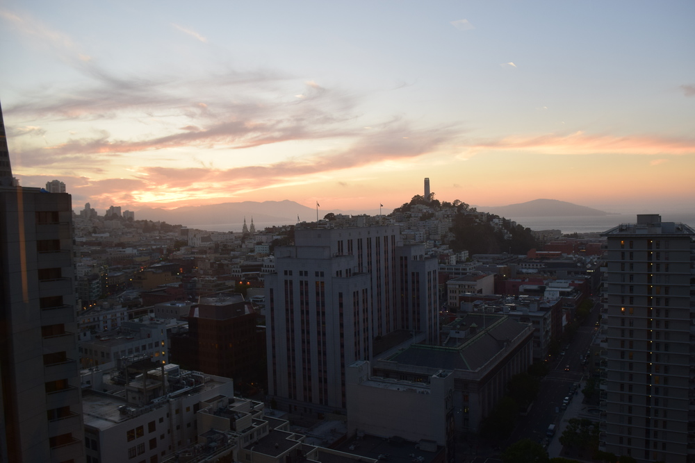 dsc_0125